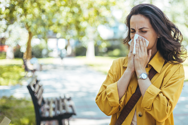 Hay fever/allergic rhinitis